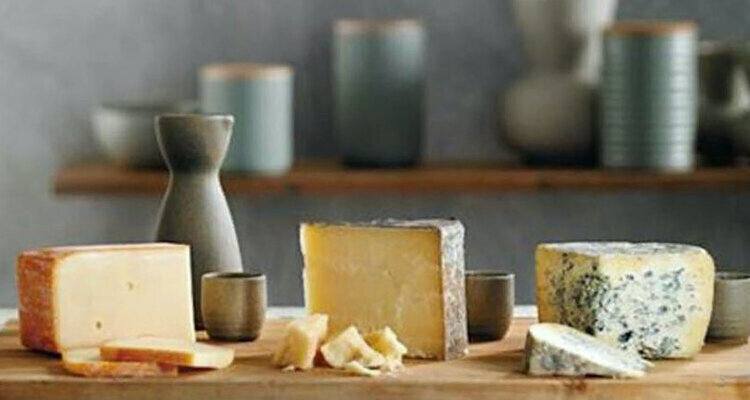 日本酒×世界のチーズ総当たり戦さまざまなのペアリングを実践してみよう
