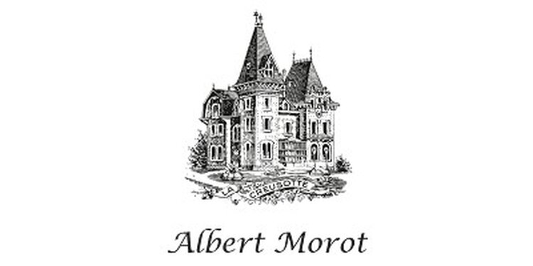 【Albert Morot垂直テイスティング】 Albert Morot~ボーヌの1級畑を７つも所有するボーヌを知るうえで欠かせない造り手 ~➁2000s~1980s