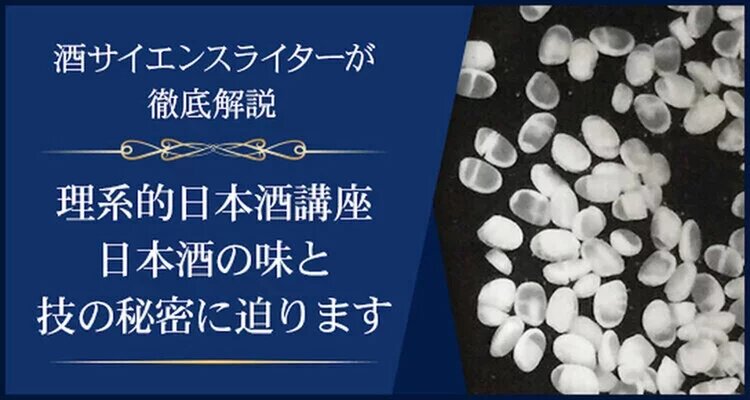 【1dayセミナー】理系的日本酒講座　日本酒の香味と技の秘密に迫ります～第2回　日本酒を造る微生物キーワードは、麹菌、酵母、乳酸菌、種と株、代謝、呼吸と発酵、進化系統樹、赤い酒、野生酵母、MLFなど