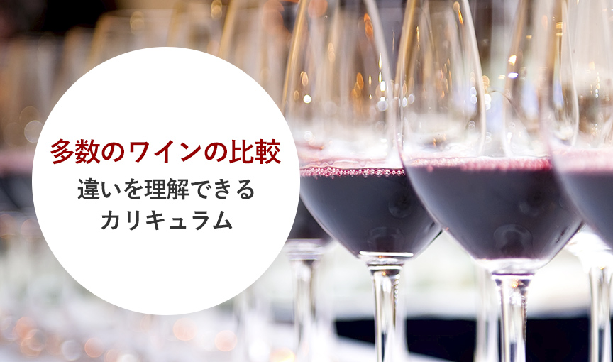 月1回の集中テイスティングで一気にレベルアップ