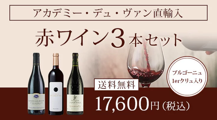 ブルゴーニュ1erクリュ入り！直輸入赤ワイン3本セット