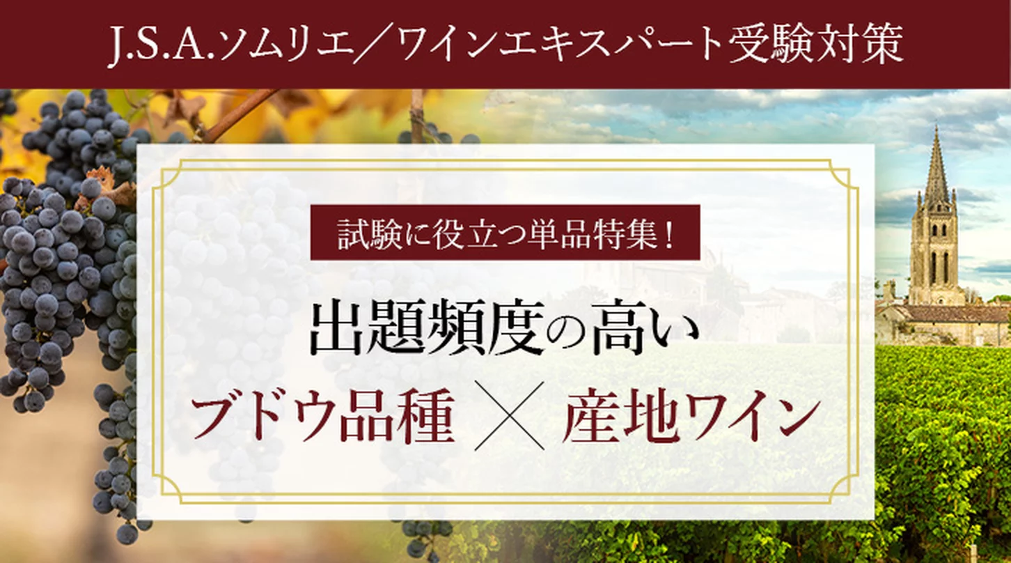 試験に役立つ単品特集！出題頻度の高いブドウ品種×産地ワイン
