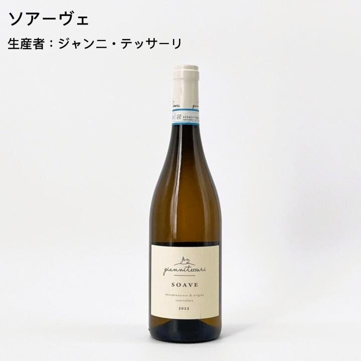 店長おすすめワインセットvol.1 　厳選！最高の日常家飲みワイン編5本セット-Caves de la Madeleine Sommelier's Recommendation vol.1