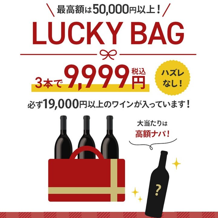 2024年末ラッキーバック3本セット-LUCKY BAG 2024