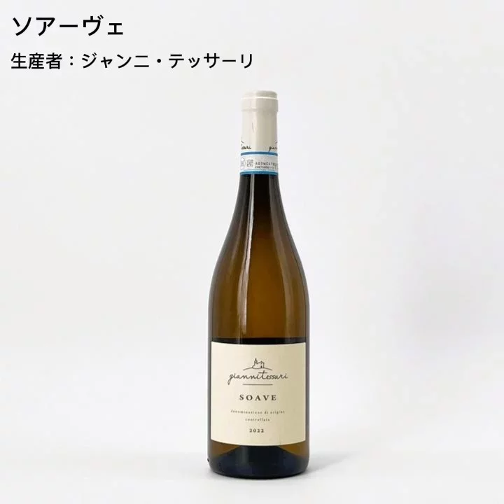 【当店No.1ロングセラー！】店長おすすめワインセットvol.1 　厳選！最高の日常家飲みワイン編5本セット-Caves de la Madeleine Sommelier's Recommendation vol.1