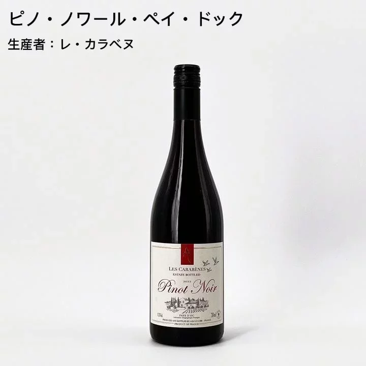 【当店No.1ロングセラー！】店長おすすめワインセットvol.1 　厳選！最高の日常家飲みワイン編5本セット-Caves de la Madeleine Sommelier's Recommendation vol.1
