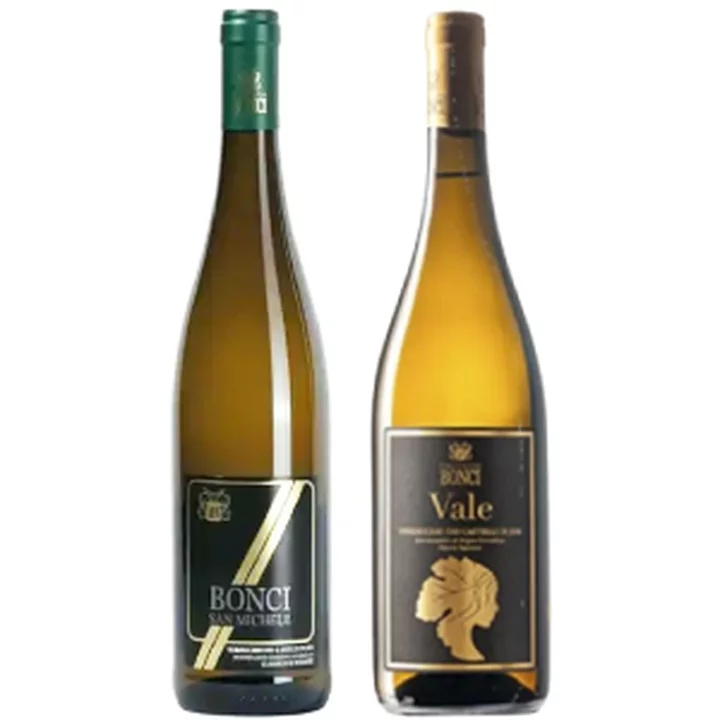 一度飲むと、きっと好きになる。イタリア白ワインの隠れた名品ヴェルディッキオ2本セット