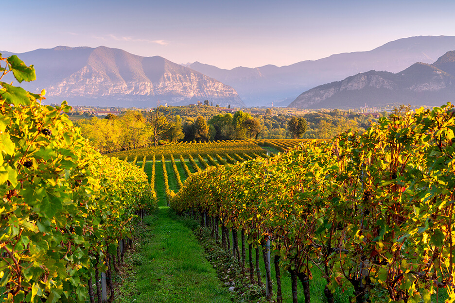 franciacorta