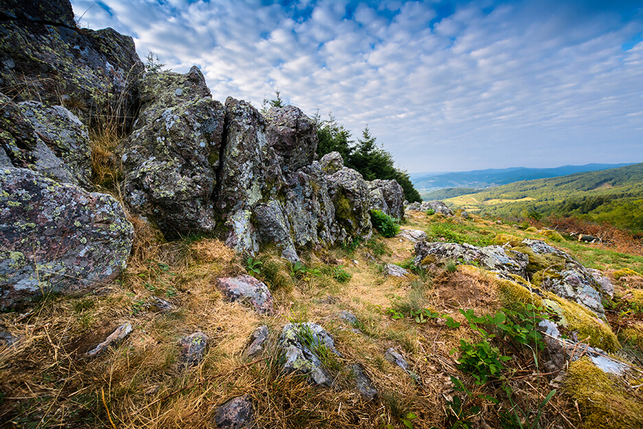 granite