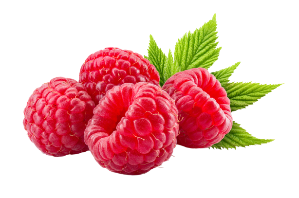 raspberry