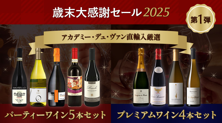 歳末大感謝セール2025 第1弾 アカデミー・デュ・ヴァン直輸入厳選 パーティーワイン5本セット プレミアムワイン4本セット